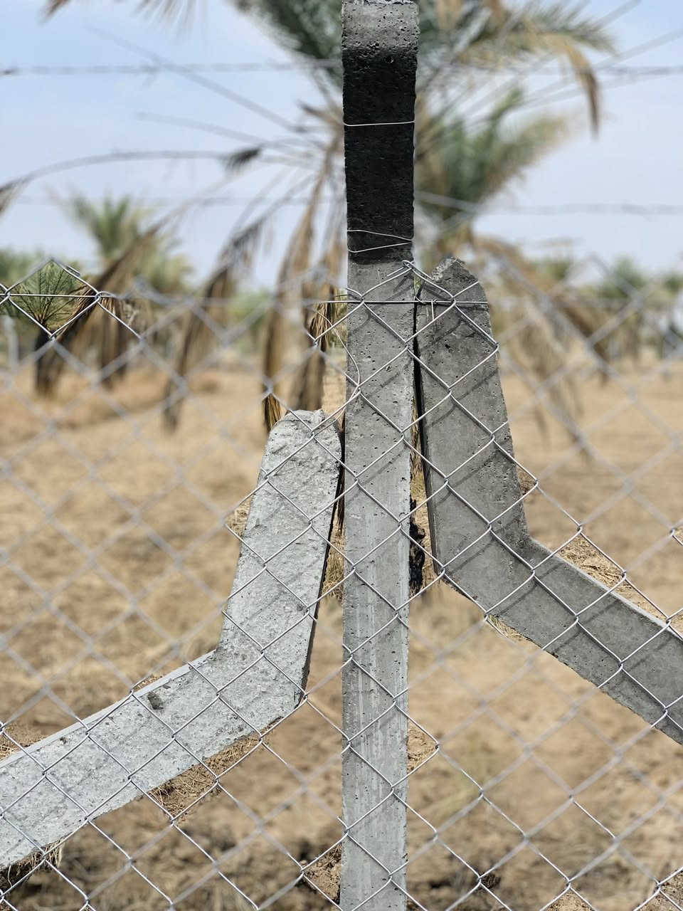 💥 شركة النسيم لأسيجة BRC – حيث يلتقي الابتكار بالجودة! 💥
📞 ⁨￼⁨0781 267 8068⁩⁩  (واتساب)

هل تبحث عن أسيجة تجمع بين الأمان والمظهر الجمالي؟ 🤔
✨ لا تفوّت الفرصة! عروض خاصة وتخفيضات مذهلة بانتظارك ✨

🔹 أسعار أسيجة BRC تبدأ من 5,000 دينار للمتر الى 8.0000 الف دينار 
🟩 متوفر بخيار الجادر أو بدون جادر حسب اختيارك!

🌿 أسيجة عشبية تضيف لمسة خضراء ساحرة، مثالية للجمال والأمان في محيطك 🌿

🏗️ نُنفذ مشاريع الأسيجة باحترافية عالية لـ:
• المباني الحكومية 🏢
• الحدائق العامة والخاصة 🌳
• البساتين والمزارع 🍃
• وأكثر من ذلك!

🔧 ما الذي يميزنا؟
✔️ تنفيذ احترافي
✔️ دقة عالية في العمل
✔️ كادر فني متمرس
✔️ استخدام أفضل الخامات

🚛 نخدم جميع محافظات العراق – نصل إليك أينما كنت، بسرعة وجودة مضمونة!

💡 ليش تختار شركة النسيم؟
✅ سرعة في الإنجاز
✅ شغل متقن
✅ أسعار منافسة وجودة لا تُضاهى

📞 للطلب والاستفسار: 👇 راسلنا عبر الزر أسفل المنشور أو اتصل الآن على الارقام الاتية ⬇
📞 ⁨￼⁨0781 267 8068⁩ ⁩  (واتساب)
📞 *********** (واتساب)
