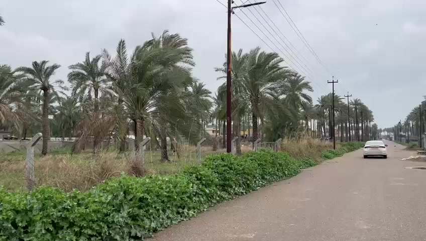 سلام عليكم دونم للبيع موقع بغداد الراشديه منطقه الدباغيه صنف للعقار ملك صرف سعرهاا 300مليون وبيهاا مجال استفسار على هذا رقم الهاتف ***********
