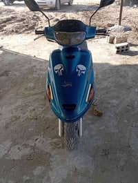 دراجة فراشة فحل • كفالة عام • الحمزة الغربي