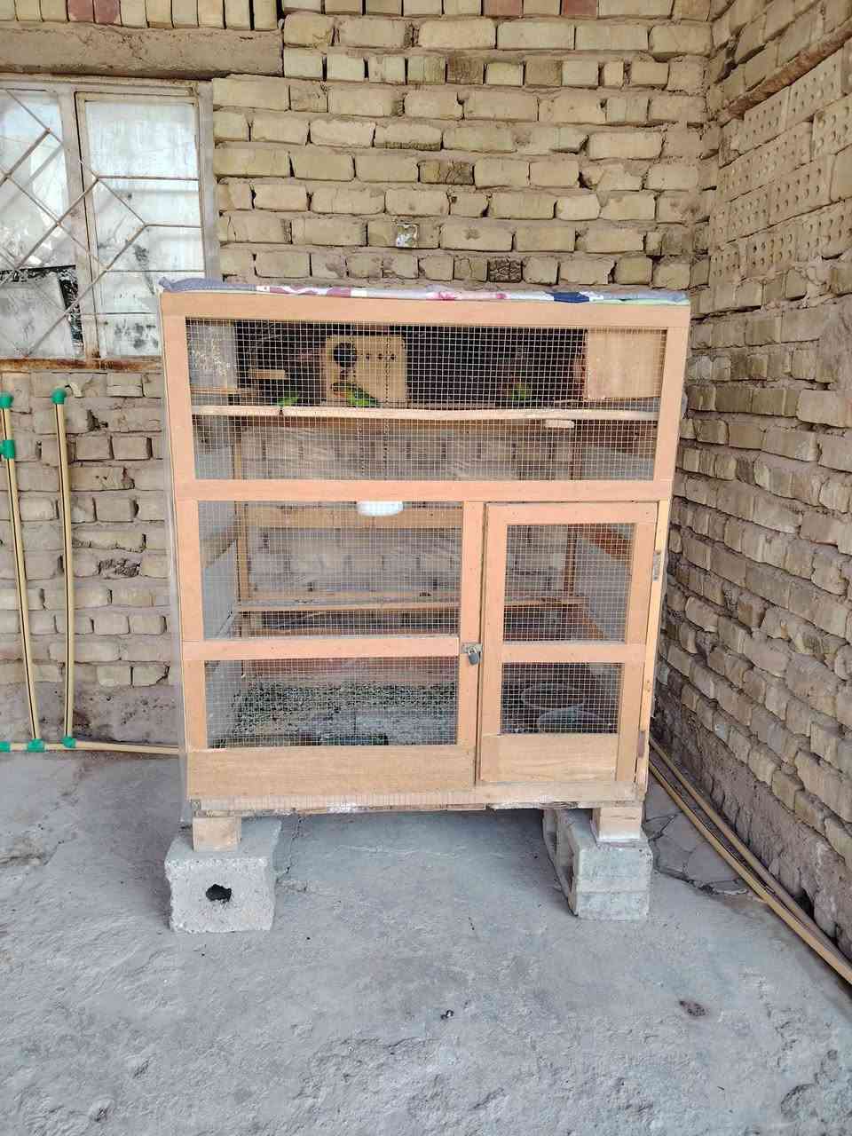 قفص احطاطه مرتب وقندورات 9
8 خضر و1 صفره
للبيع شلع قفص كامل هوه والقندورات العدد 9 
سعر  225
مكان فلوجه يم مرطبات مشمشه
الرقم ***********
