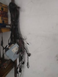 سلف • داينمو • ضفيرة