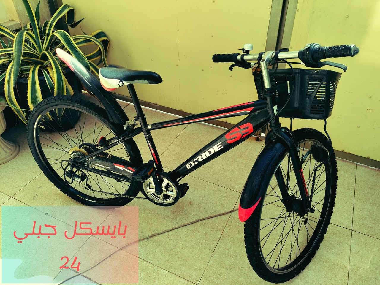 بايسكل جبلي نظيف جدا
بالة ياباني DRIDE
اللون : اسود مخطط أحمر
كير ست نمر
حجم 24
سلة قويه كلش
قفل للتاير الخلفي
لايت اماميDynamo
السعر 200 الف وبي مجال


**إذا كنت صاحب هذا الإعلان وتريد حذفه لأي سبب، رجاءا أرسل رسالة إلى الدعم الفني**