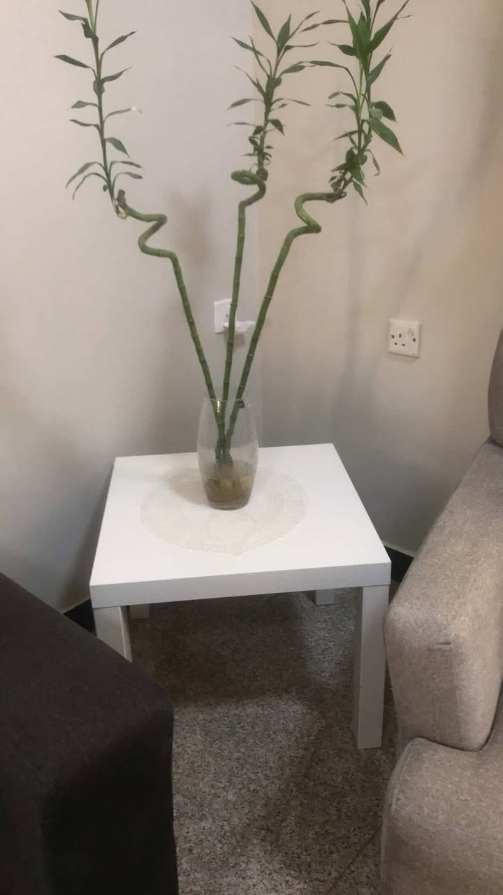 للبيع مكاني الاعظمية


**إذا كنت صاحب هذا الإعلان وتريد حذفه لأي سبب، رجاءا أرسل رسالة إلى الدعم الفني**