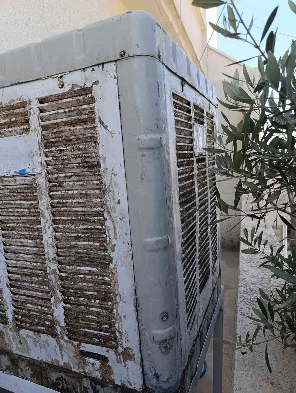 2  موبەریدەی  بێ عەیب و  مەزبووت  ماتۆڕ  چاکیان  لەسەرە  هەوایەکی  خۆش  هەیە  بەشەرت   دانە  سپیەکە  35 هەزار  شینەکە  45 هەزار  سپیەکە  تاکەکانی  تۆزێ  بۆیاخی  هەڵی  یاوە  بەڵام  وەک  ماتۆڕو  شەفت و  بوش  قایش  هەمووی  بەشەرت  هەوایەکی  زۆر  بەقوەتیان  هەیە  ،،،
تەباخێکی   4  چاو  ژێری   فڕن  یەک چاوی  بۆریەکی  پێوەی  نەماوە  3 چاوەکەی  تری   بەشەرت  سینی  فڕنەکەی  تیانیە  ،،،
سعری  35هەزار    شوێن   سلێمانی   ،،،،،،،،
2  موبەریدەی  بێ عەیب و  مەزبووت  ماتۆڕ  چاکیان  لەسەرە  هەوایەکی  خۆش  هەیە  بەشەرت   دانە  سپیەکە  35 هەزار  شینەکە  45 هەزار  سپیەکە  تاکەکانی  تۆزێ  بۆیاخی  هەڵی  یاوە  بەڵام  وەک  ماتۆڕو  شەفت و  بوش  قایش  هەمووی  بەشەرت  هەوایەکی  زۆر  بەقوەتیان  هەیە  ،،،


**إذا كنت صاحب هذا الإعلان وتريد حذفه لأي سبب، رجاءا أرسل رسالة إلى الدعم الفني**