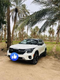 سيلتوس • ٢٠٢٤ • ٣٠٠٠٠ كم