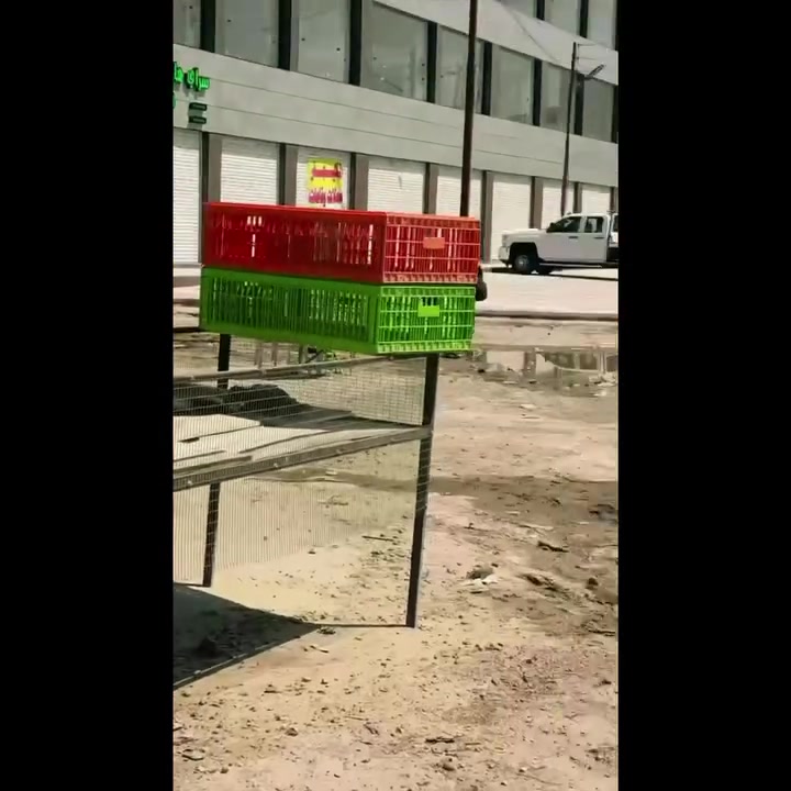 هيكل ١٥٠ متر وجه ٧ ونص كامل بي ماء كهرباء اشتايكر قاطين في منطقة الدورة مدخل سيطرة الحشد قرب السريع مسافه ٢٠٠ متر  المنطقه كاملة الخدمات كلشي واضح بالفيديو  بسعر مناسب اتصال خط او واتساب هاي ارقامنه او مراسلة الصفحه
***********
***********
