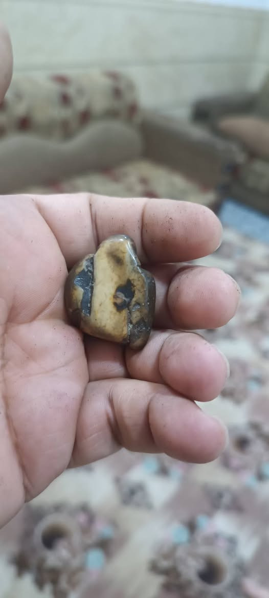 ياالله السلام عليكم متاح سلطاني خام مصور لعشاق السلطاني الأفريقي مكاني السماوة ***********
