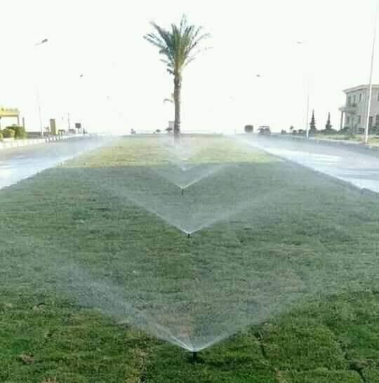 باسعار ثيل ديالى الطبيعي 🏡
أهلاً بكم في مجموعه مزارع ديالى لثيل الهندي الطبيعي 🌿🌱
 نقدم لكم افضل انوع الثيل الطبيعي عالي الجوده يتحمل كافه الضروف البيئية.🌦️🌞
دائم الخضرة🌿🌳 وباسعار تنافسيه ☘️❤️
#مستعدون لتجهيز وفرش الحدائق🏡 ودوائر الدولة🏡والمنازل🏡🏡
و تجهيز الملاعب🏟️ والمنتزهات الجودة العالية في العمل👷👷

مع خدمة التوصيل خلال24ساعه🚛🚛
الاسعار 💵💸 تختلف حسب الكمية 
للاستفسار الاتصال على : 
او التواصل مع الصفحه او اتصال علئ رقم  عن طريق ارسال رسالة على الوتساب ‏‪***********
