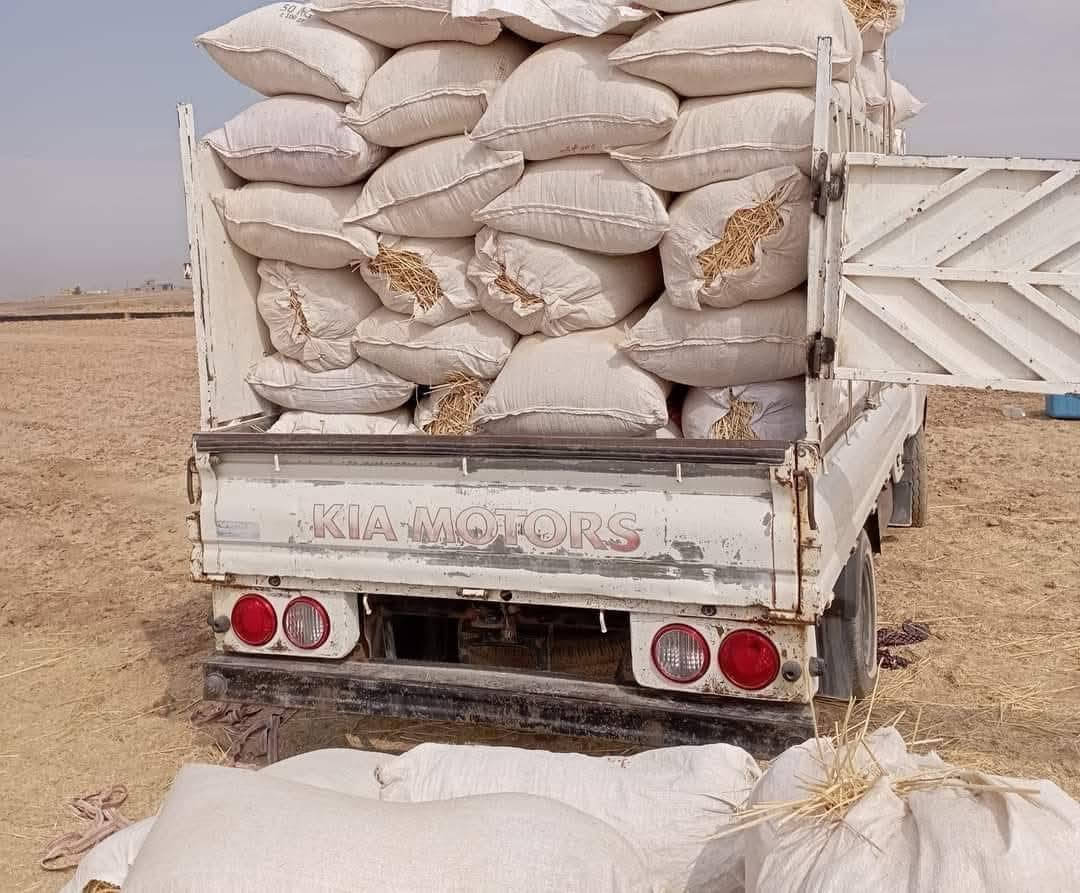 السلام عليكم يوجد تبن مال السنة تبن حنطة موجود گواني وموجود شلفان اسعار مناسبة ترس فول يوجد توصيل #شرقاط_هيجل_خضرانية_گيارة_اسديره_الزاب_الحود  للاستفسار والتواصل على الرقم *********** او المراسله عالخاص وحياكم الله
