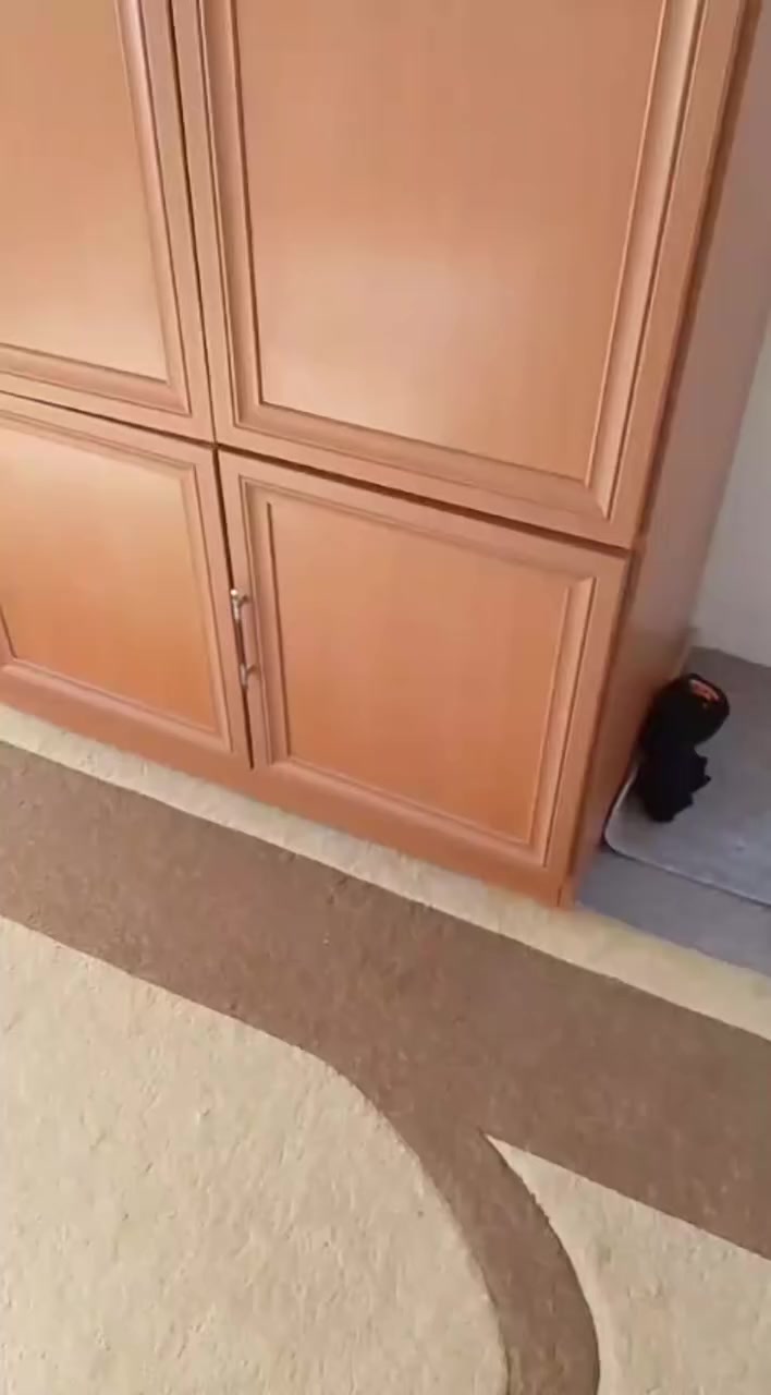 السلام عليكم كنتور مستعمل نظيف تركي ***********
