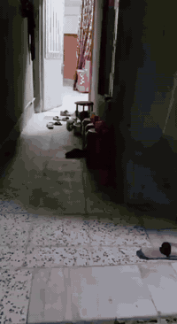 اسلام عليكم بيت طابو زراعي سند 25تحويل مباشر بسم المشتري المساحه 100تت...