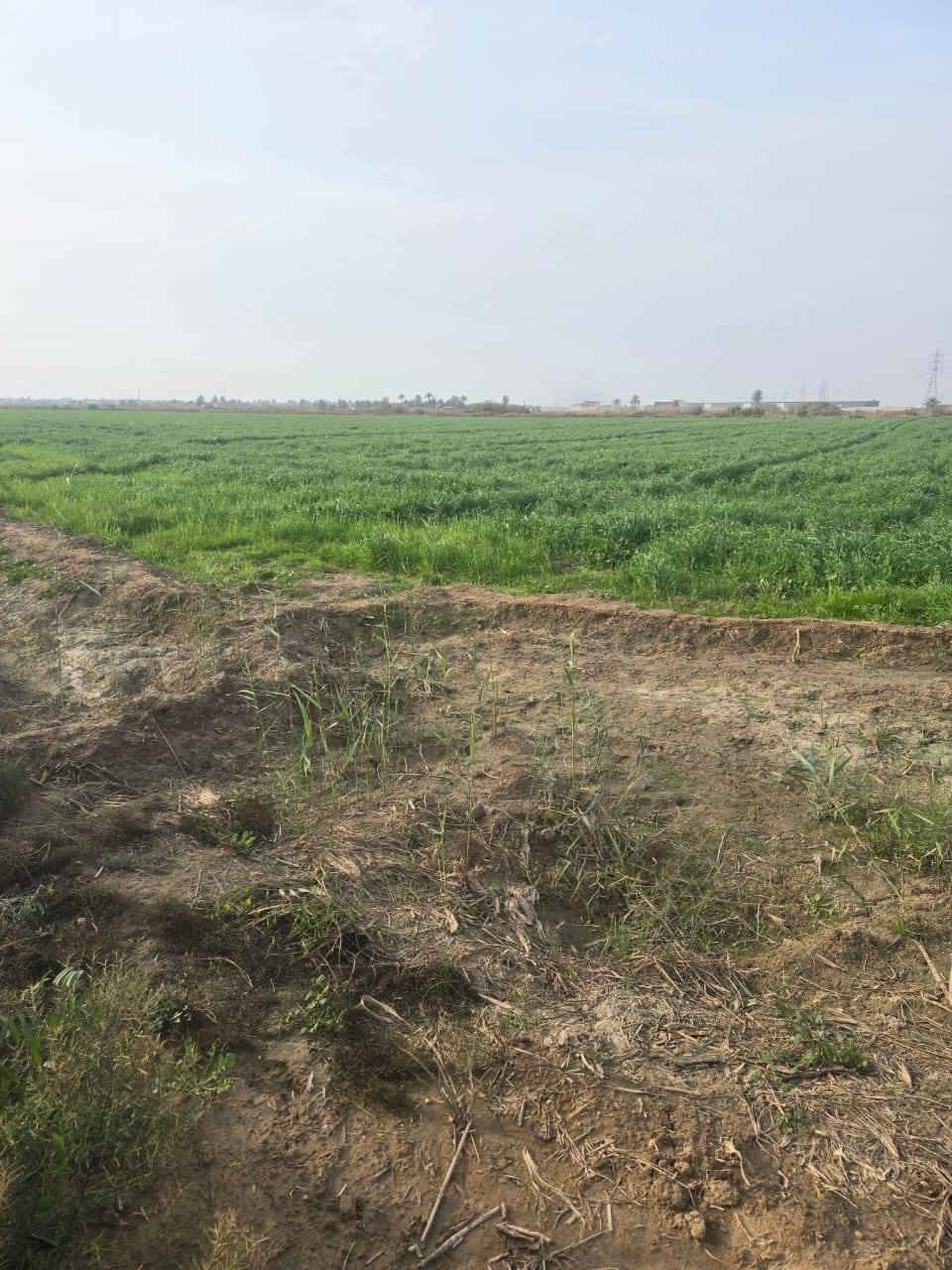 السلام عليكم ورحمة الله وبركاته
قطعه أرض المساحه 2 دونمين للبيع الوجه 48  شارعها 15 متر. مقابل بسمايه سند 25 تحويل. قرب دائرة المجاري
المكان بغداد المدائن منطقه الجعاره الاستفسار اتصل ***********. ***********  ابو عيسى
