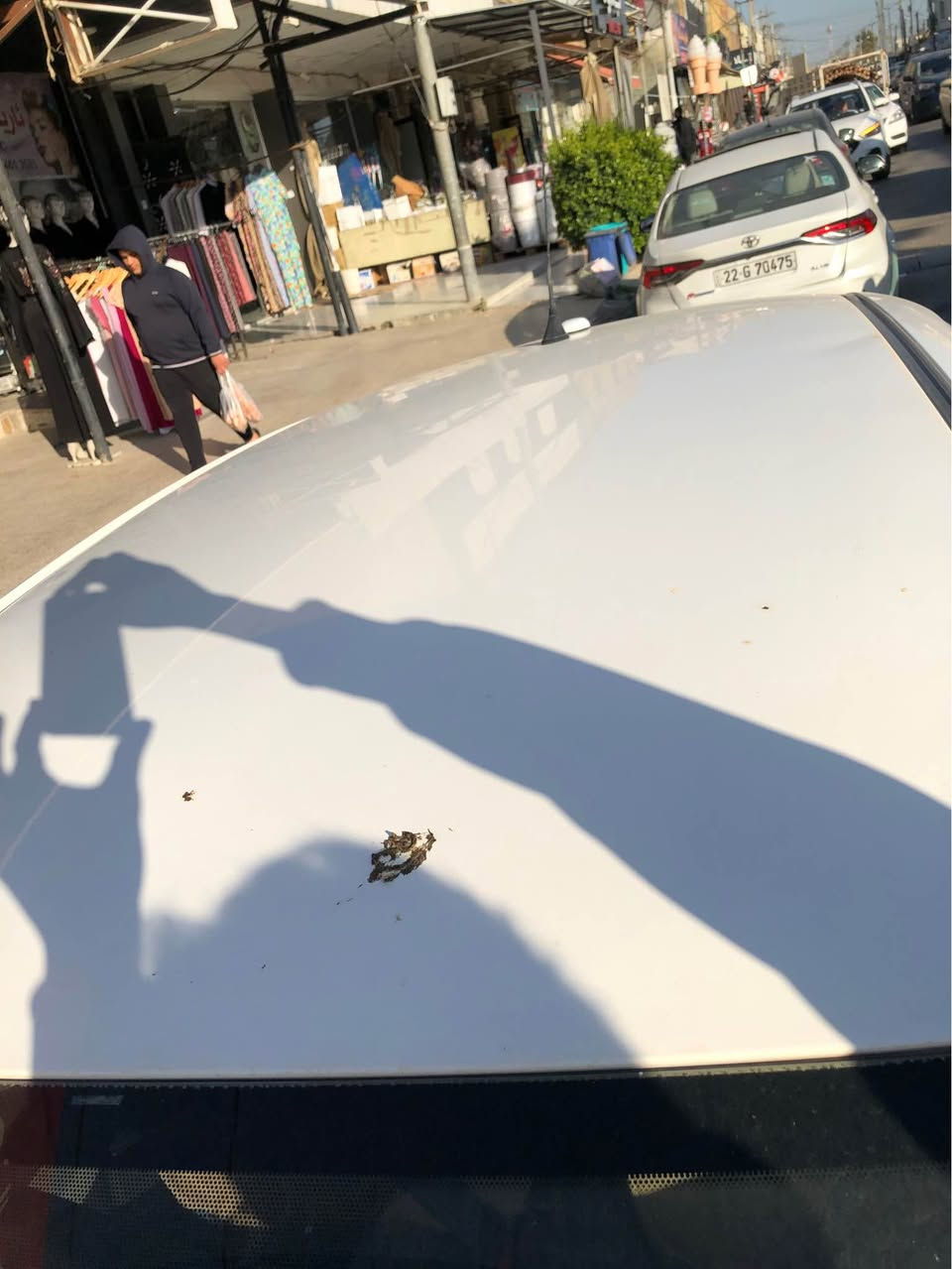 یارس ٢٠٠٨
بێ سبوغ 
***********
گوری نەبووە أربيل, العراق
