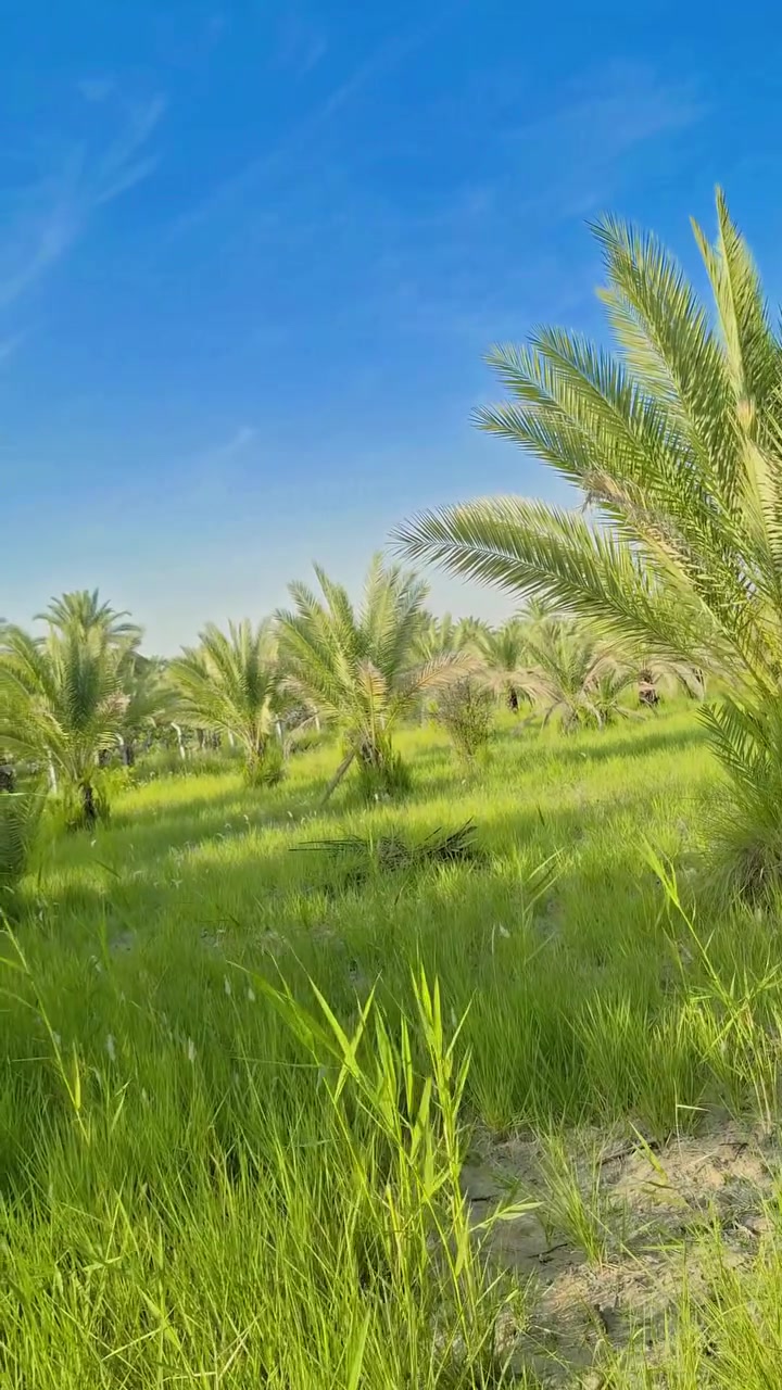 *********** 
***********
فارس الشمري
