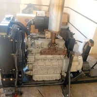 كابوتا • ياباني • كيفي