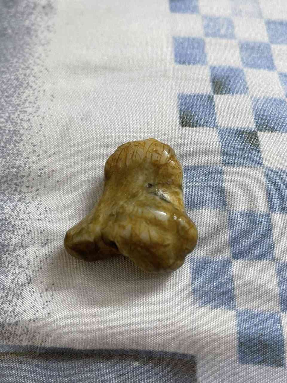 السلام عليكم احجار روحانيه شرط الشغل كل قطعة وسعرها


**إذا كنت صاحب هذا الإعلان وتريد حذفه لأي سبب، رجاءا أرسل رسالة إلى الدعم الفني**