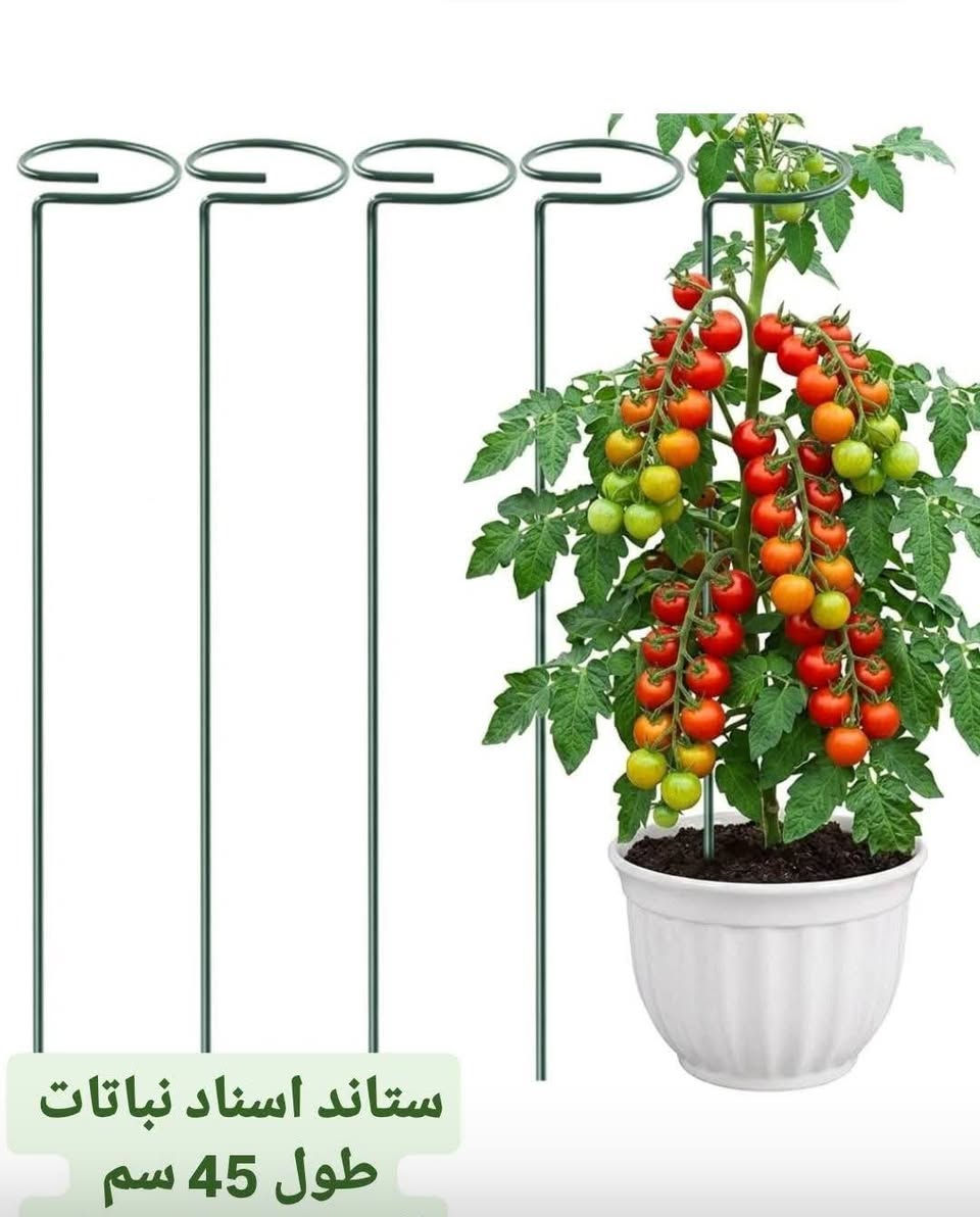 ستاند النباتات بالف ونص
سياج حدائق بلاستيكي بسعر 4


**إذا كنت صاحب هذا الإعلان وتريد حذفه لأي سبب، رجاءا أرسل رسالة إلى الدعم الفني**