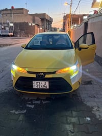 كورلا امريكي • ٢٠٢٤ • سليمانيه