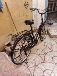 باسكل • شطره