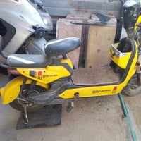 دراجتين شحن • بدون بطاريات • الدورة