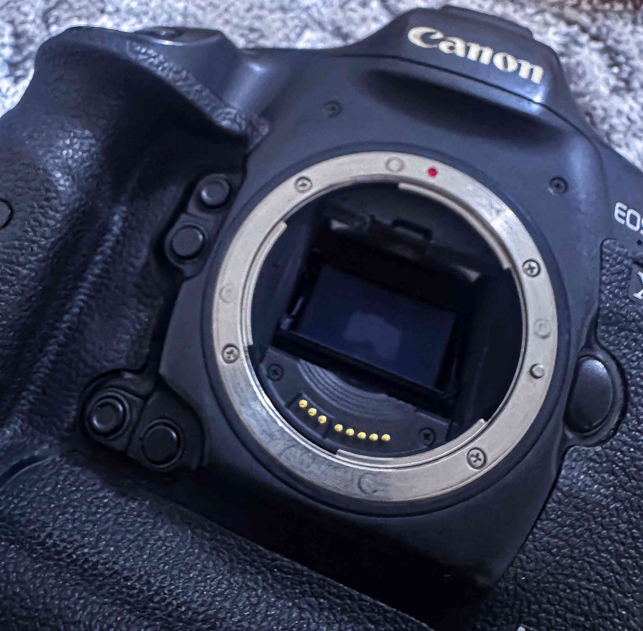 بدي كانون 1d x mark ii 
مع شاحن الأصلي ، مالها
ومع بطاريه الأصلي ، مالتها
السعر 
مليونين و٢٥٠ وبيها مجال

للتواصل خاص 
و واتساب
***********
