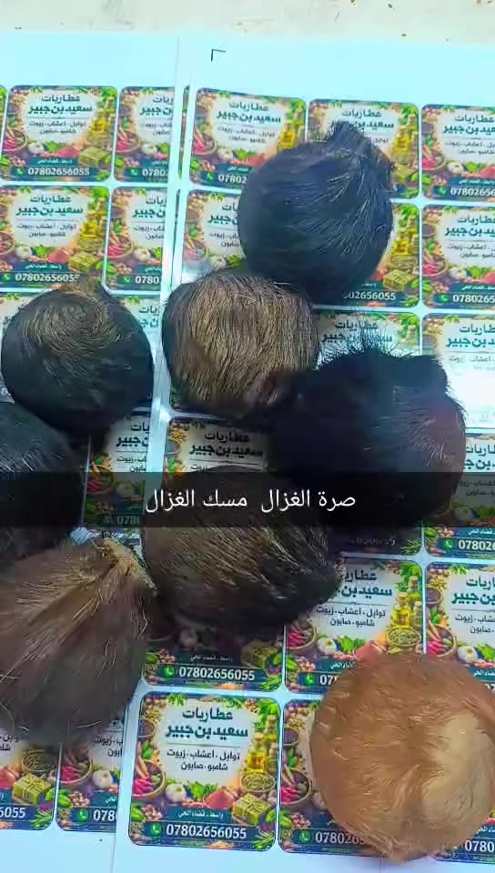 🔸 صُرّة الغزال – وفوائدها المتداولة شعبياً 🔸
تُعد صُرّة الغزال من المواد العطرية الطبيعية المعروفة في العطّاريات، ويُتداول استخدامها منذ القدم في الطب الشعبي لما يُنسب لها من فوائد، منها:
• تُستخدم في التعطير وإضفاء رائحة مميّزة وثابتة
• يُقال إنها تساعد على تنشيط الجسم وبثّ الحيوية
• متداولة شعبياً لدعم الطاقة العامة
• تُستعمل أحياناً في الخلطات العطرية والعلاجية الشعبية
• يُنسب لها دور في تحسين المزاج وراحة الأعصاب
• تدخل في بعض الوصفات الشعبية الخاصة بالرجال والنساء
• تُستخدم بجرعات قليلة جداً حسب العرف المتوارث

📍 العنوان:
واسط – قضاء الحي – السوق الكبير
مجاور فرع الجمعية
محل المرحوم منعم العطار
📞 للاستفسار:
***********
