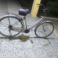 باسكل • فلوجه • واتساب