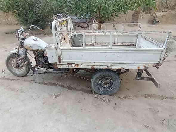 ستوته للبيع سنويه ورقيه مجفته توني رايدها ٤٠٠ وبيها مجال قليل عوزها ترتيب الاتصال على الرقم *********** المكان بابل الشوملي
