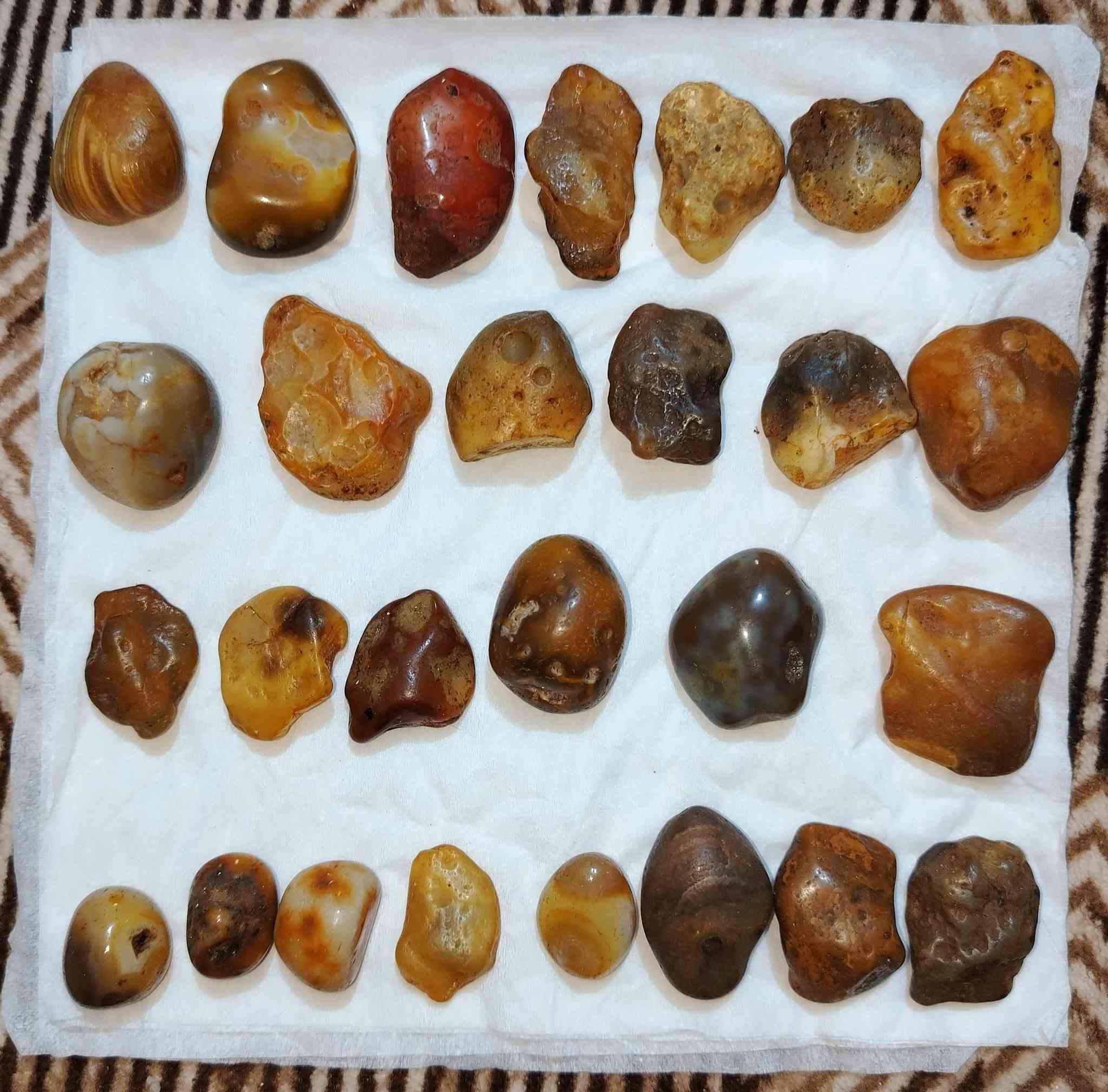 يالله
138 حجر سليماني  ودودي بيهن قديم وجديد ووبيهن مال مال كاع شلع اب 175 الف  مابيع مفرد شلع


**إذا كنت صاحب هذا الإعلان وتريد حذفه لأي سبب، رجاءا أرسل رسالة إلى الدعم الفني**