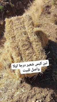 تبن كبس شعير درجا اولا واصل للبيت 07805879968///07780640958