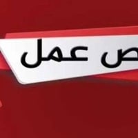 الرمادي • مروجين • بدون خبرة