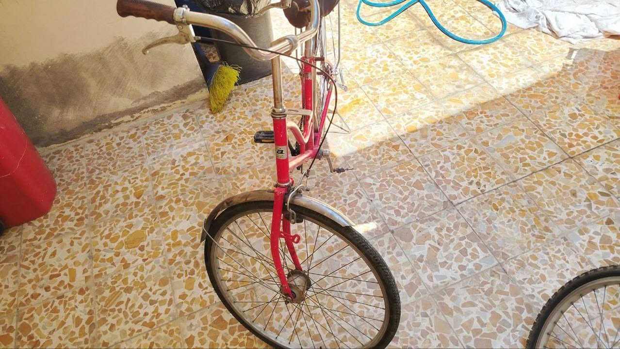 بايسكلين 
واحد ١٥ 
والاخر ٢٦ 

البايسكل الاحمر  بريك ورا  عاطل 
سعر الواحد ٣٠ 
ثنينهم ب ٥٠ الف 
التواصل خاص
مكاني حي البلديات


**إذا كنت صاحب هذا الإعلان وتريد حذفه لأي سبب، رجاءا أرسل رسالة إلى الدعم الفني**