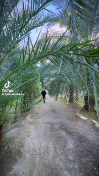 توفر مكتب ليث العبيدي العروض حسب الطلب 📌(استثماري/تجاري /ترفيهي )    📌...