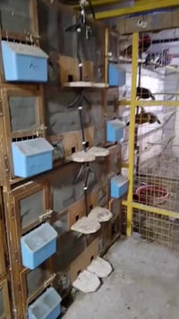 خانات للبيع السعر 500 مع الملحقات سلات تبزير صوندات معالف الاتصال على ...