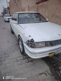 مارك • تحتاج ترتيب • نجف كوفة