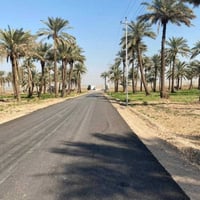 أراضي زراعية • خدمات كاملة • الصويرة شارع خمسين