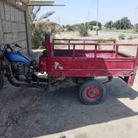 ستوته • كلك كلك • شاصيه نضيف