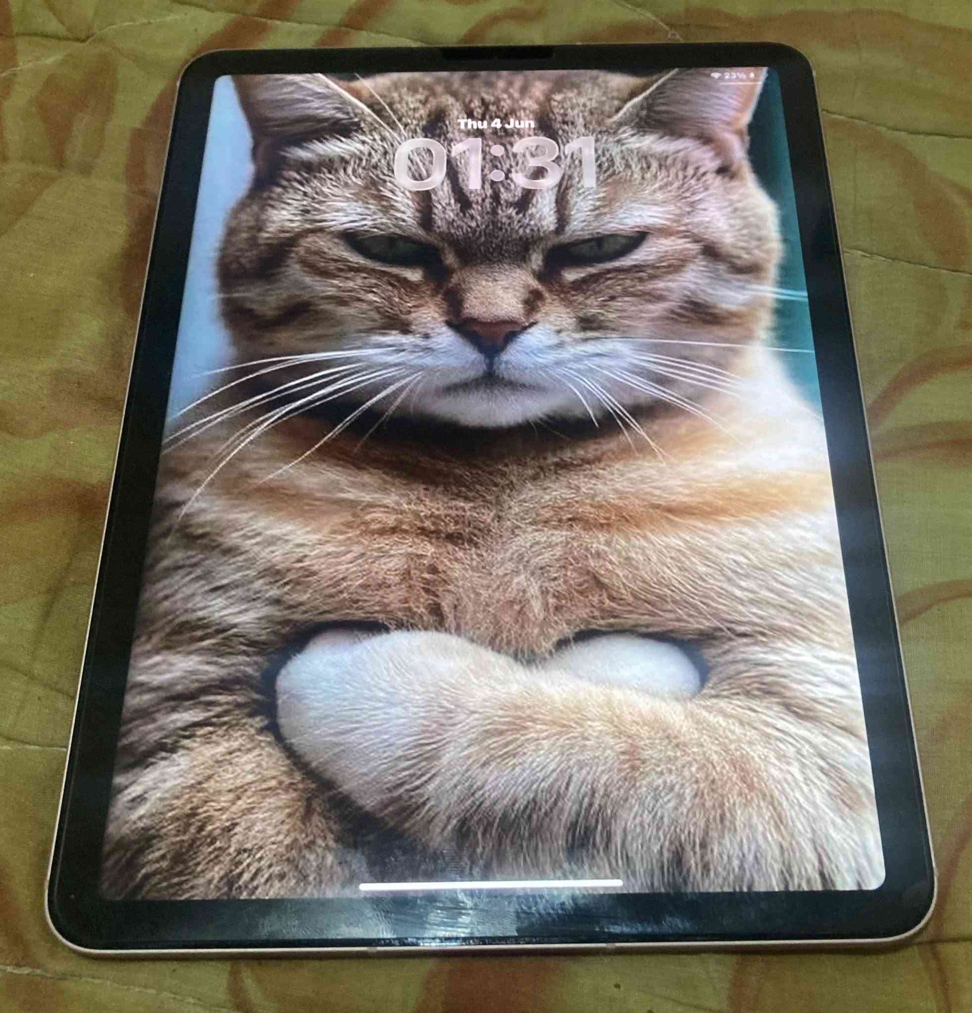 ipad air 4 gen bypass + accessory
ثمن 1650
256gb


**إذا كنت صاحب هذا الإعلان وتريد حذفه لأي سبب، رجاءا أرسل رسالة إلى الدعم الفني**