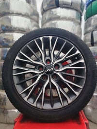 تخم ويل كب حجم 17 اصلي بيع او مراوس المكان بغداد.. 07775550209