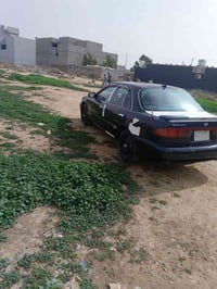 سوناته ٩٥ • مكينه وكير جديد • بعقوبه