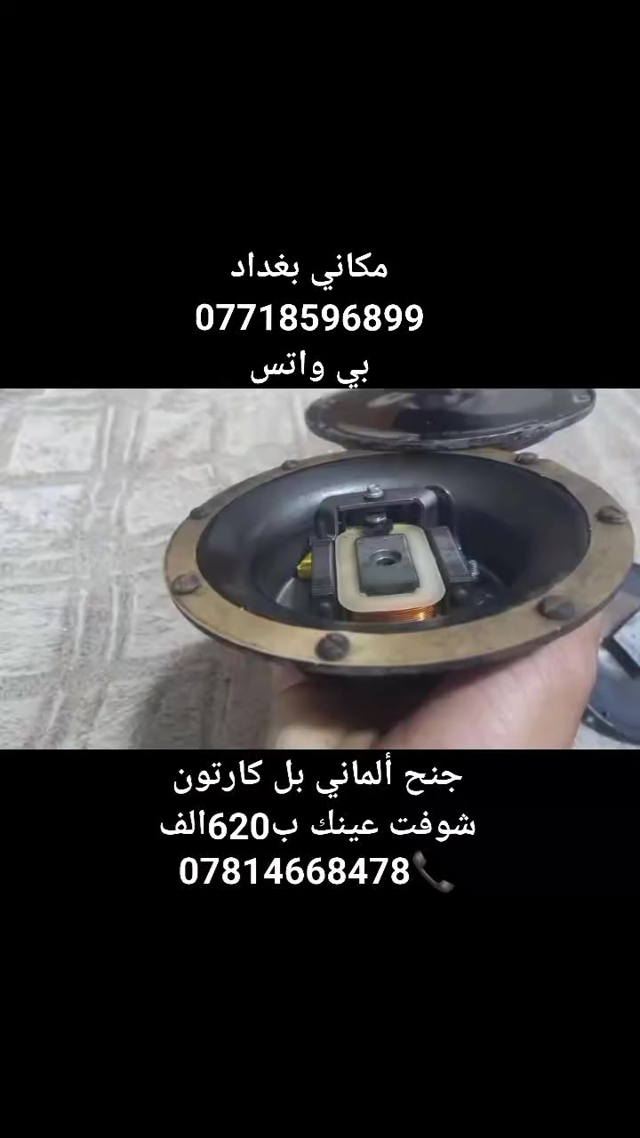 سلام عليكم شباب 
متعرف بل بوش لا تعلق الجنايه يعرفون قيمتهن
 هورنات بوش جنح ألماني بالشمع مال حاويه بطن بل كارتون تفحص وين ميعجبك سعر 620الف
مكاني بغداد ***********
***********
بي واتس👆
