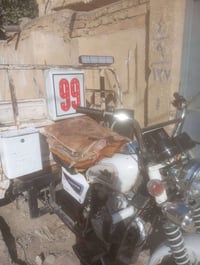 ستوته • موديل 12 • اوراق معمّرة