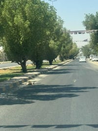 مطلوب حلاق • شارع الحولي • شارع 30 الثاني