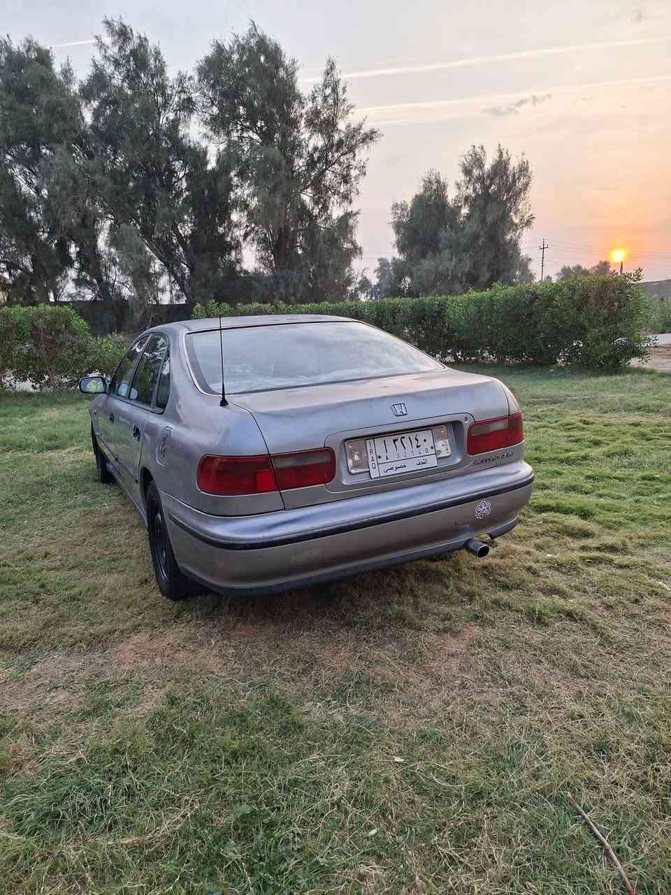 مراوس السعر 40 وبيها مجال


**إذا كنت صاحب هذا الإعلان وتريد حذفه لأي سبب، رجاءا أرسل رسالة إلى الدعم الفني**