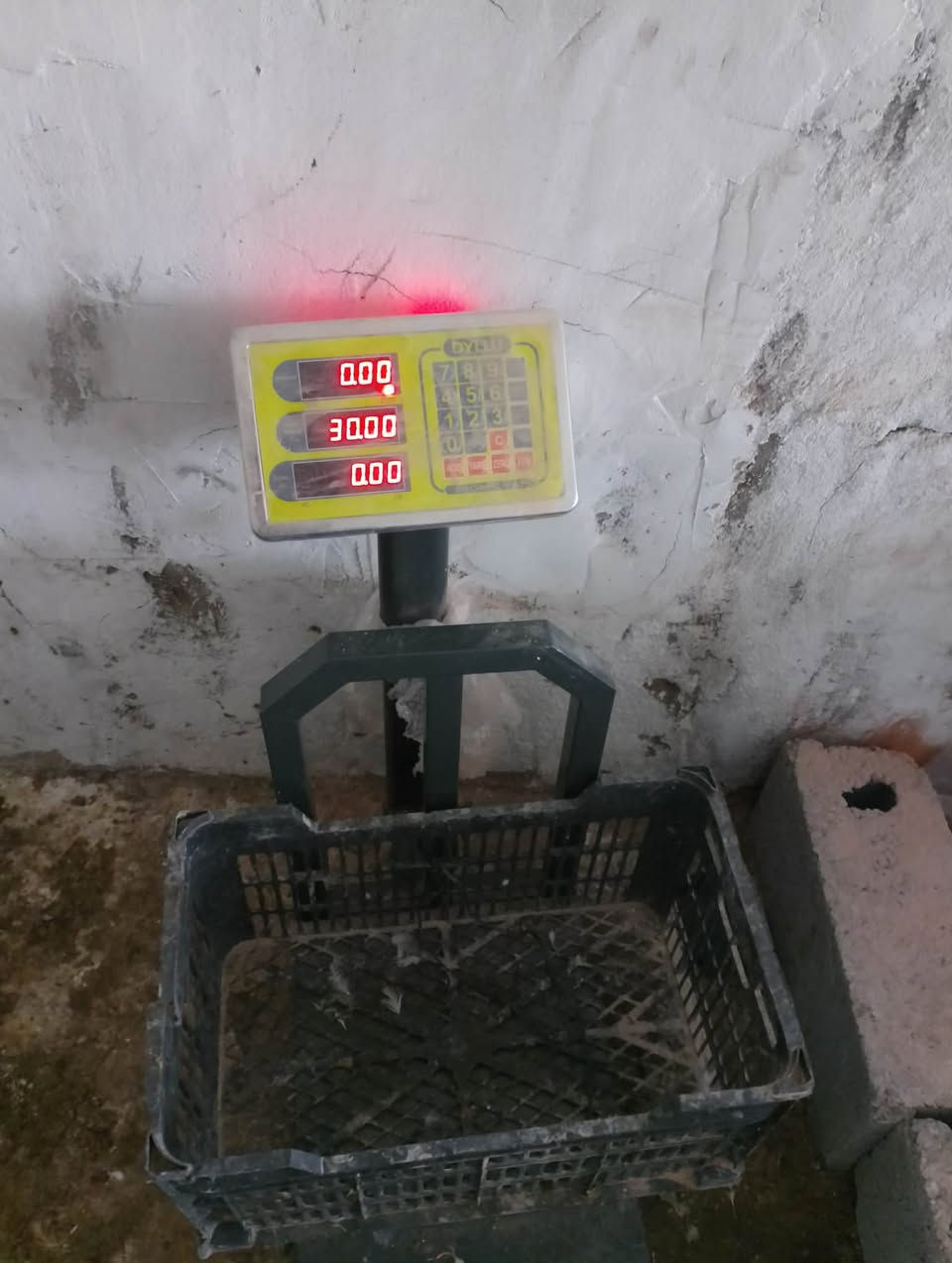 يا الله،،، محل دجاج كامل للبيع سبب البيع عدم التفرغ،، تريد بس الأغراض تريد هو واجاره لاجار شهريا ٢٠٠ الف
الأغراض كامله،،، من هلاسه تانكي مذبح قنينه طباخ ميزان اكتروني قفص حديد جلسه قنفات قطعتين،، ابيع كل الأغراض مفرد ما ابيع استفسار.
***********
العنوان،، سايدين حي العامل سوق لاخير بتقاطع مقابل جامع اهل البيت المحل بصف الركن
