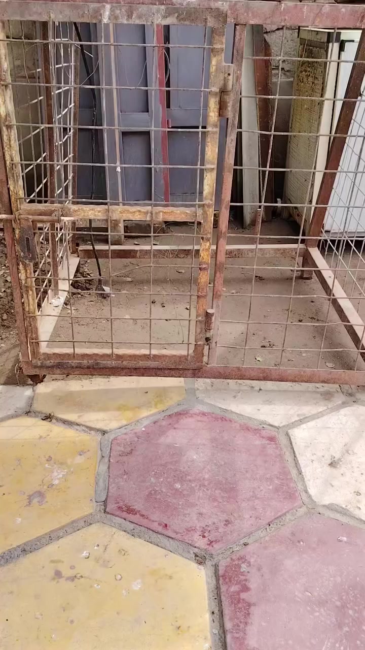 قفص حديد ثقيل
سكيبه بلاستك
للبيع


**إذا كنت صاحب هذا الإعلان وتريد حذفه لأي سبب، رجاءا أرسل رسالة إلى الدعم الفني**