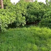 صويره • دجلة • دونم