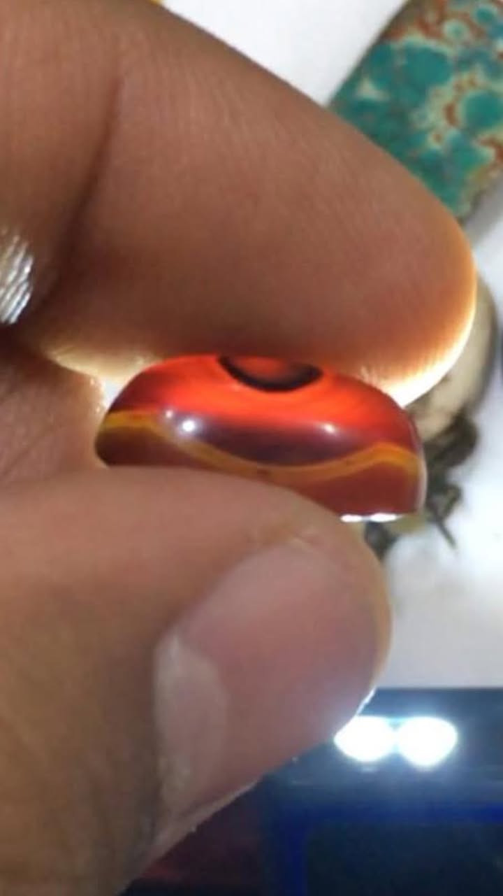 كلهن ١٥٠ الف بغداد ماعندي توصيل جدا عتك ملاكط


**إذا كنت صاحب هذا الإعلان وتريد حذفه لأي سبب، رجاءا أرسل رسالة إلى الدعم الفني**