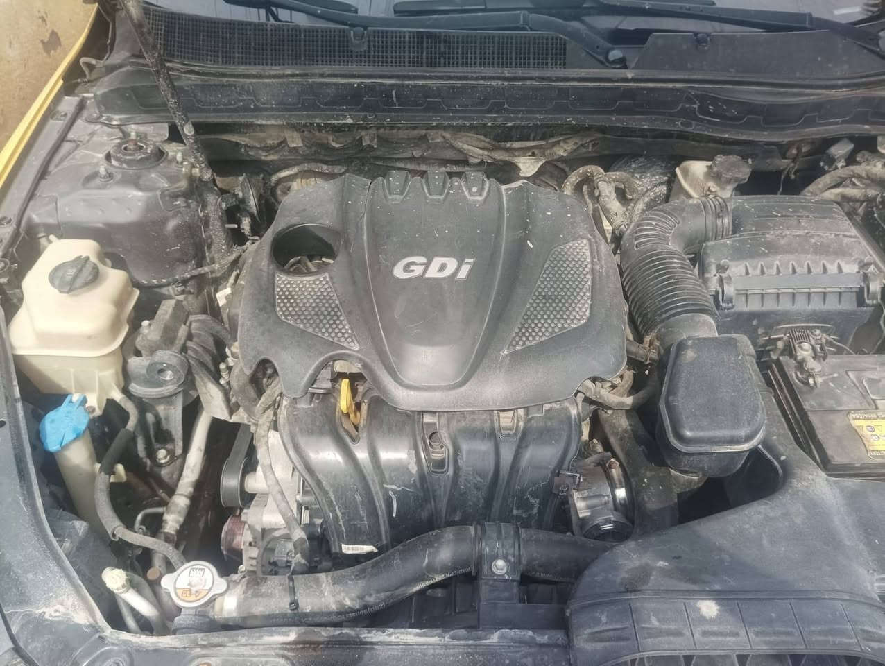 السلام عليكم اخوان اريد مراوس ليل 13 امريكي ***********
