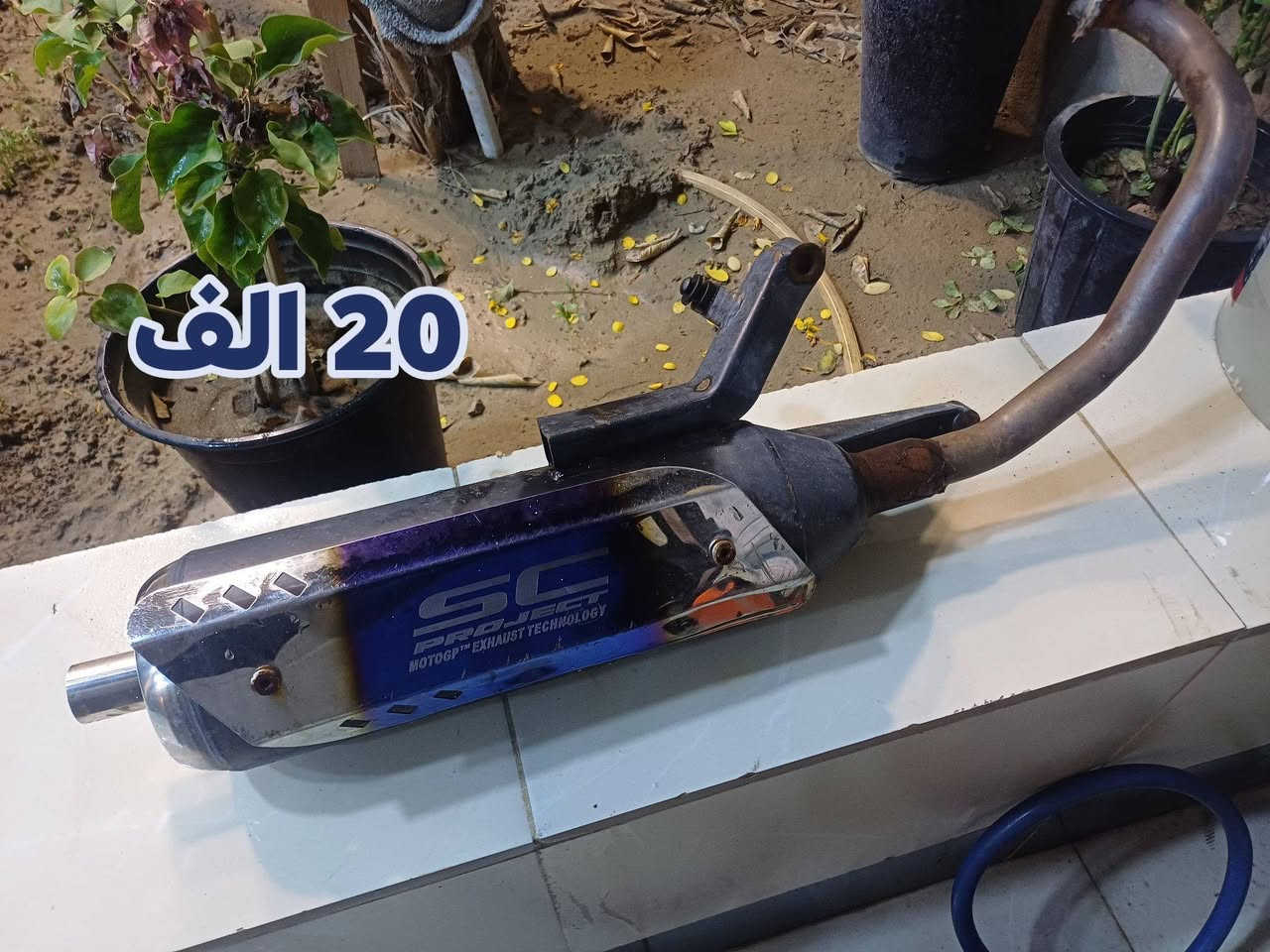 شلعه وحده سعر يختلف خااص ***********
